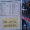 報国寺 鎌倉駅からのアクセス バスは何番？拝観料や御朱印の値段は？